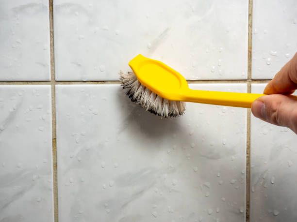Best Local Mold Removal Service  in Ringwood, NJ