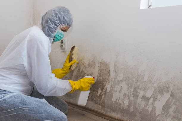 Crawl Space Mold Removal in Ringwood, NJ