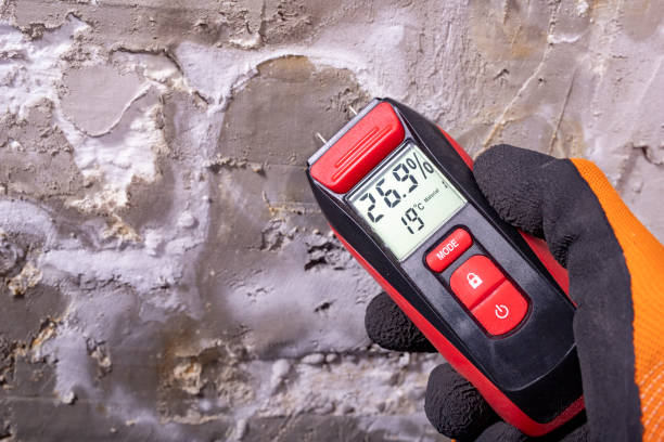 Best Crawl Space Mold Removal  in Ringwood, NJ