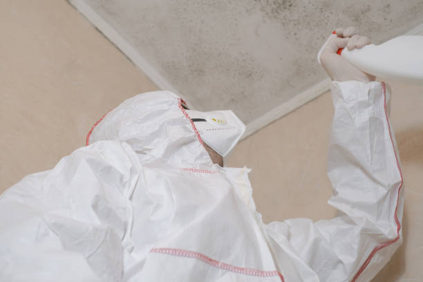 Best Certified Mold Removal  in Ringwood, NJ